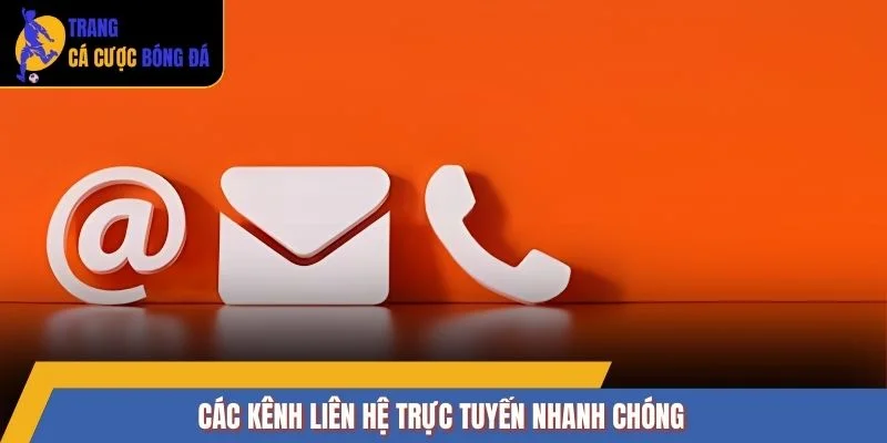 Các kênh liên hệ trực tuyến nhanh chóng