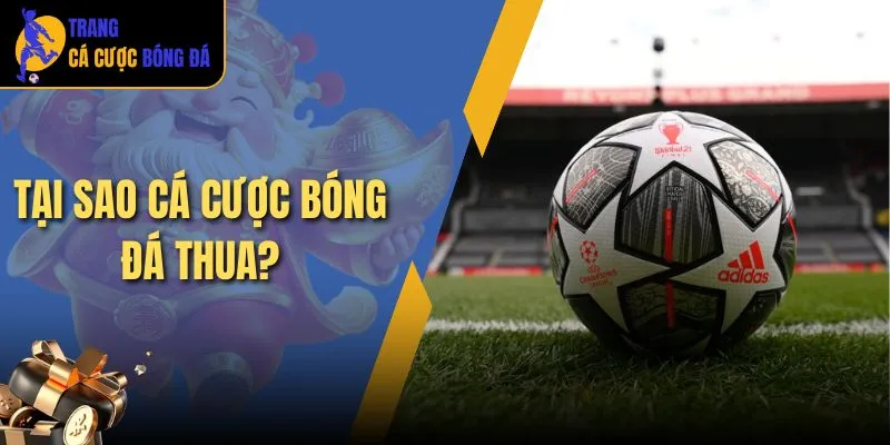 tại sao cá cược bóng đá thua