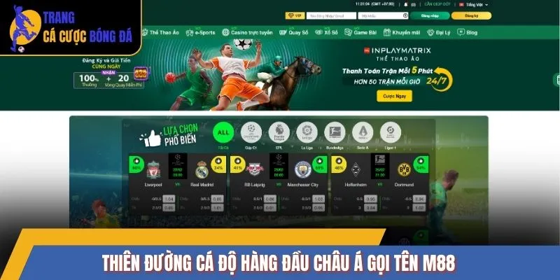 Thiên đường cá độ hàng đầu châu Á gọi tên M88